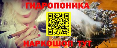 дурь Кудрово