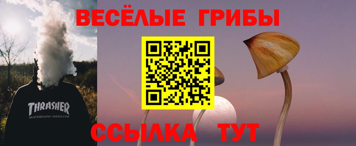 Нижнекамск  Псилоцибиновые грибы Psilocybine cubensis  Вход с VPN 